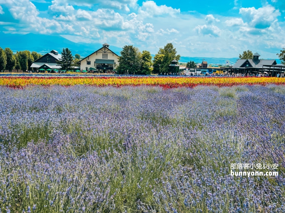 北海道富田農場