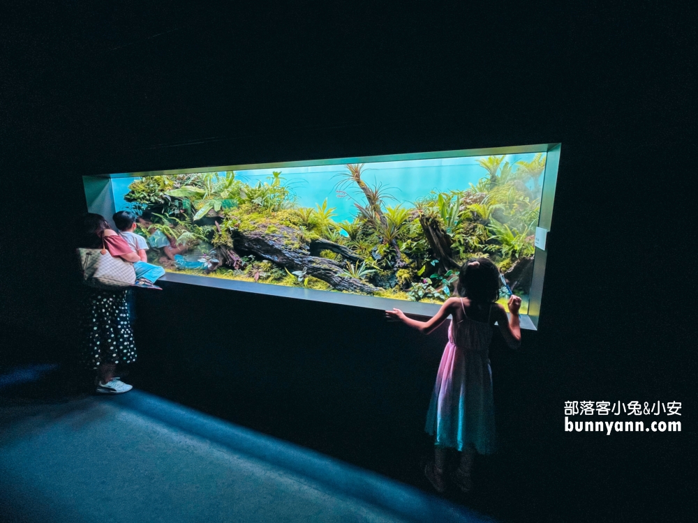 札幌水族館【AOAO SAPPORO】近距離看企鵝，還有超美城市夜景(票價)