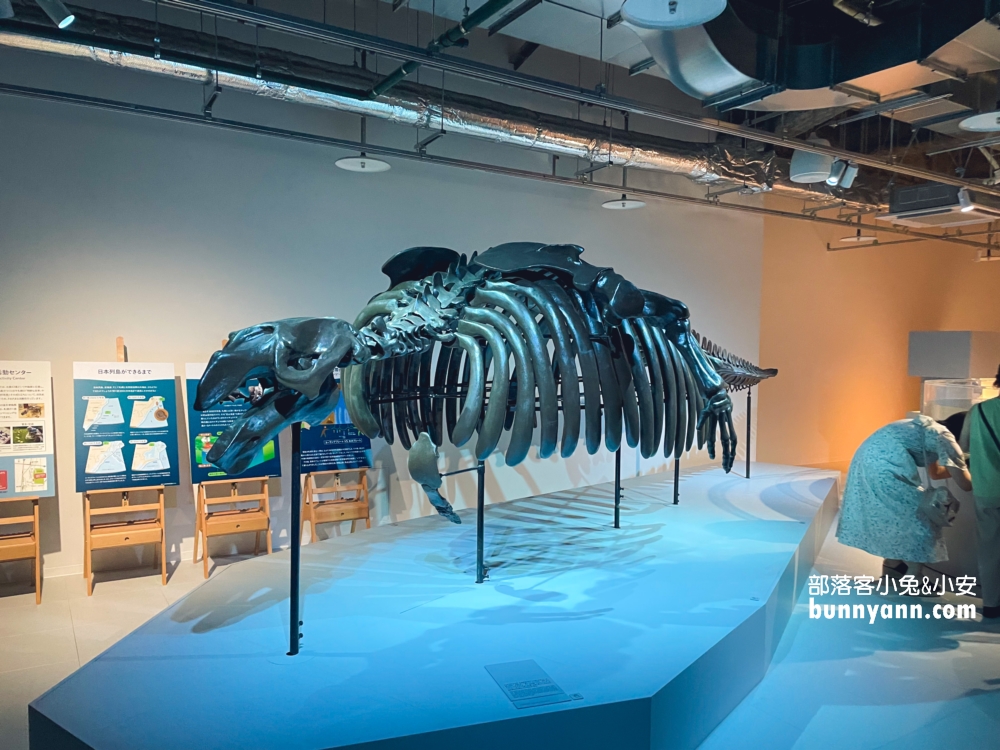 札幌水族館【AOAO SAPPORO】近距離看企鵝，還有超美城市夜景(票價)