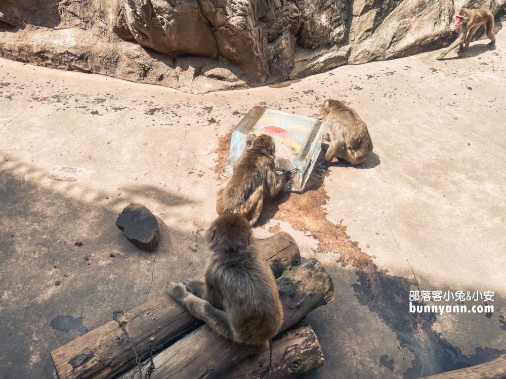 旭山動物園