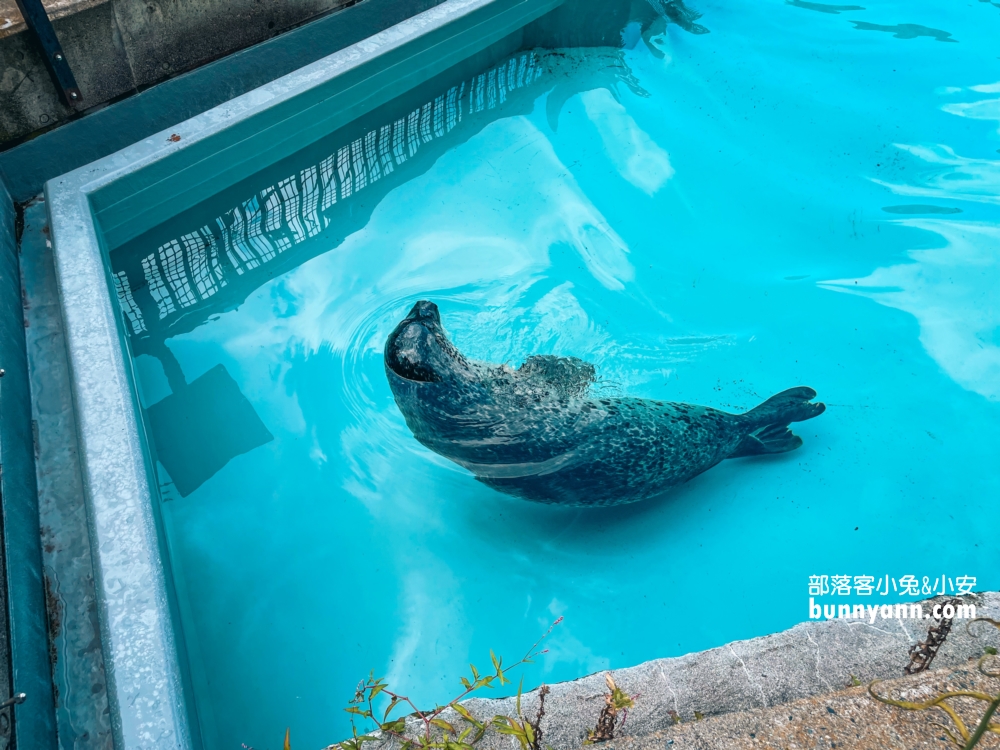 旭山動物園