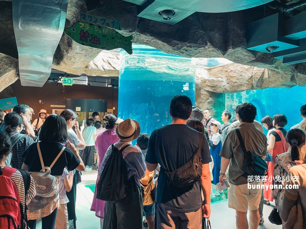 【旭山動物園】北海道企鵝散步，這樣玩旭山動物園一日遊!!