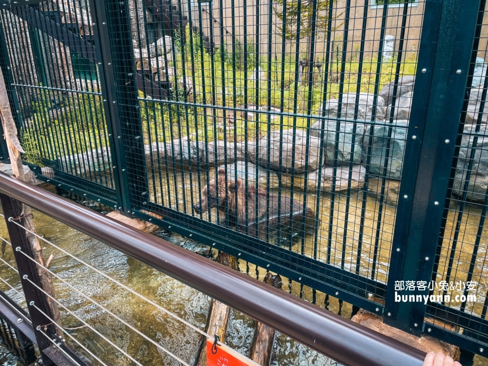 旭山動物園