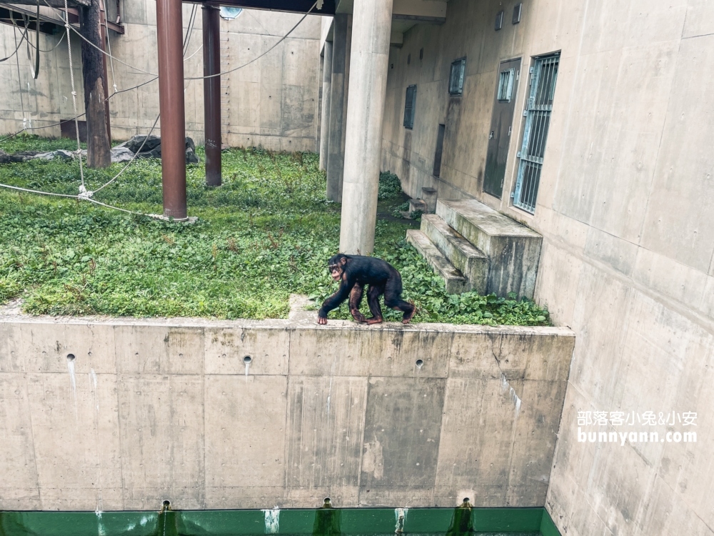 旭山動物園