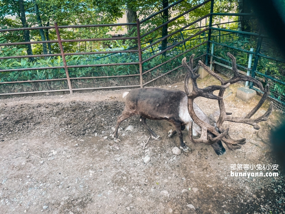 旭山動物園