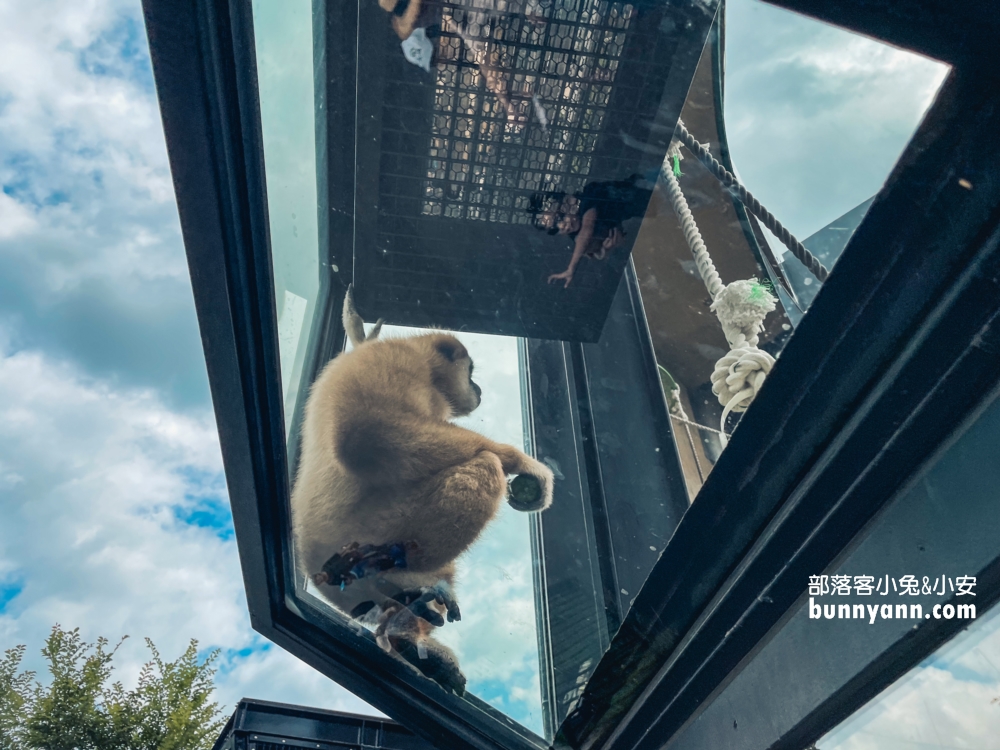 旭山動物園