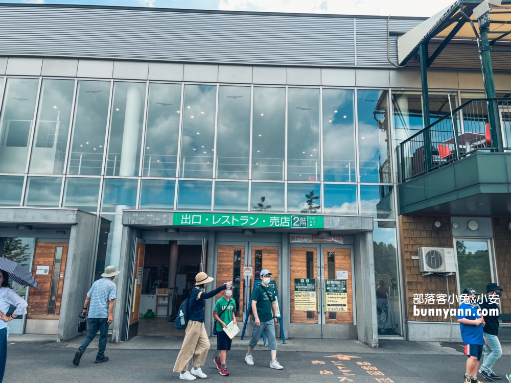 【旭山動物園】北海道企鵝散步，這樣玩旭山動物園一日遊!!