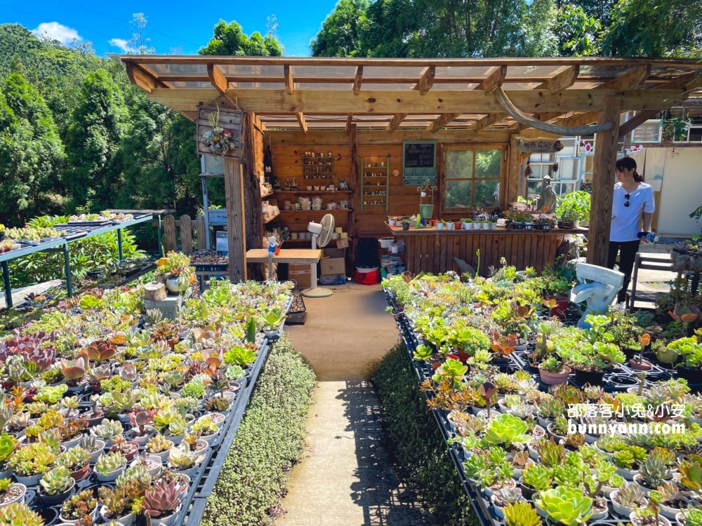 繞山花｜桃園三和青創基地多肉秘境，親水、好吃餐點、DIY盆栽真好玩