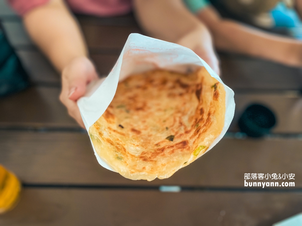 宜蘭【張美阿嬤農場】全台唯一泰迪羊，餵梅花鹿和水豚超有趣