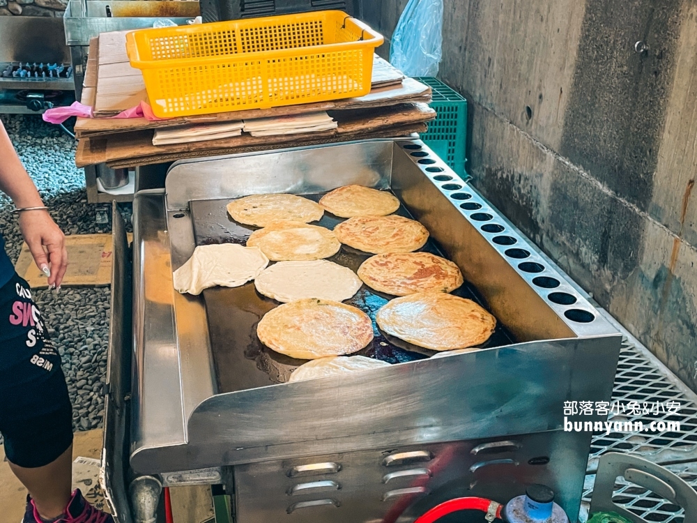 宜蘭【張美阿嬤農場】全台唯一泰迪羊，餵梅花鹿和水豚超有趣