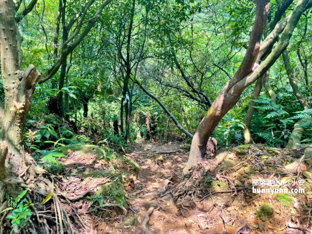 陽明山野溪溫泉》下七股野溪溫泉，十分鐘泡到夢幻牛奶湯，登山肉腳也能來