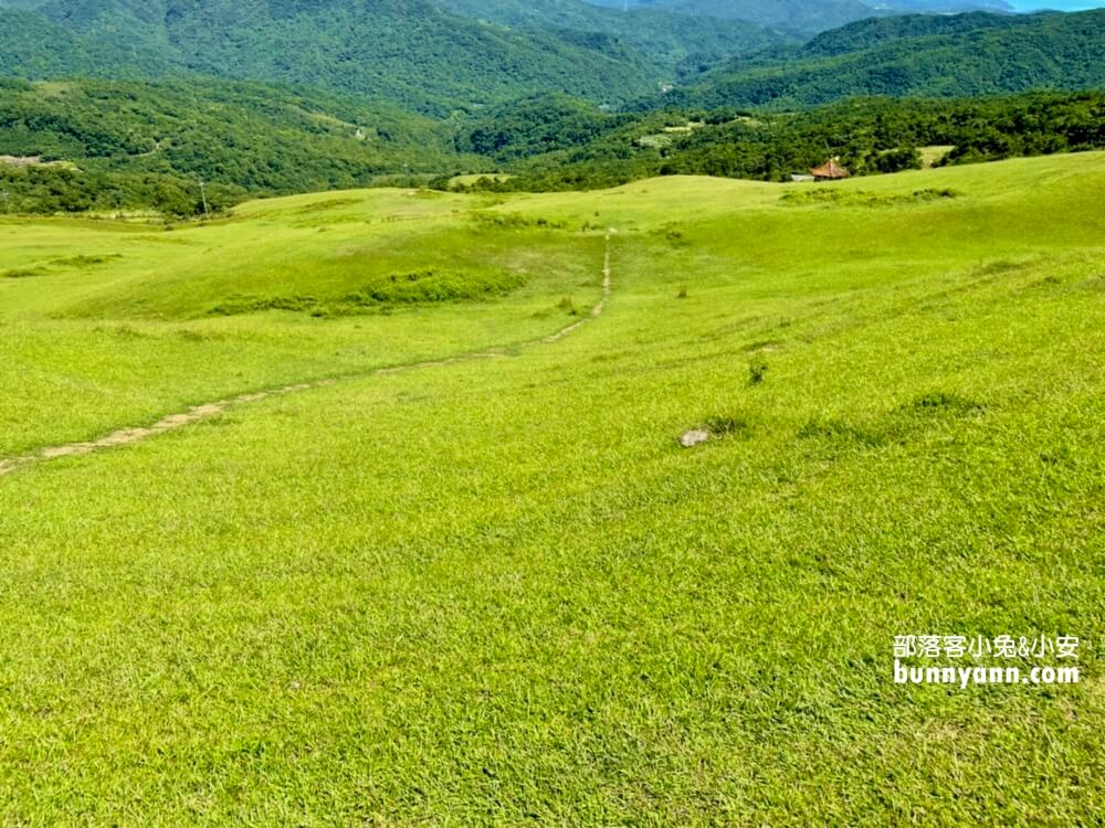 新北景點》桃源谷步道(內寮線)，半小時攻頂山陵線，眺望北台灣最美大草原