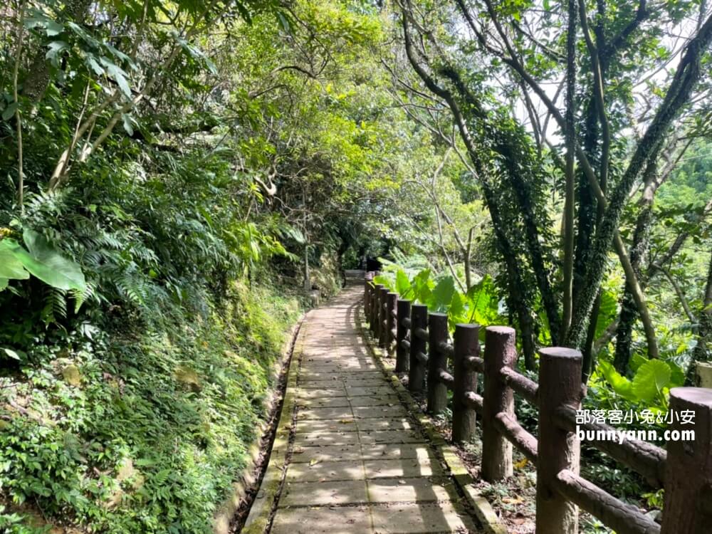 基隆七堵泰安瀑布，10分鐘賞山谷飛瀑，溪畔漫遊好愜意