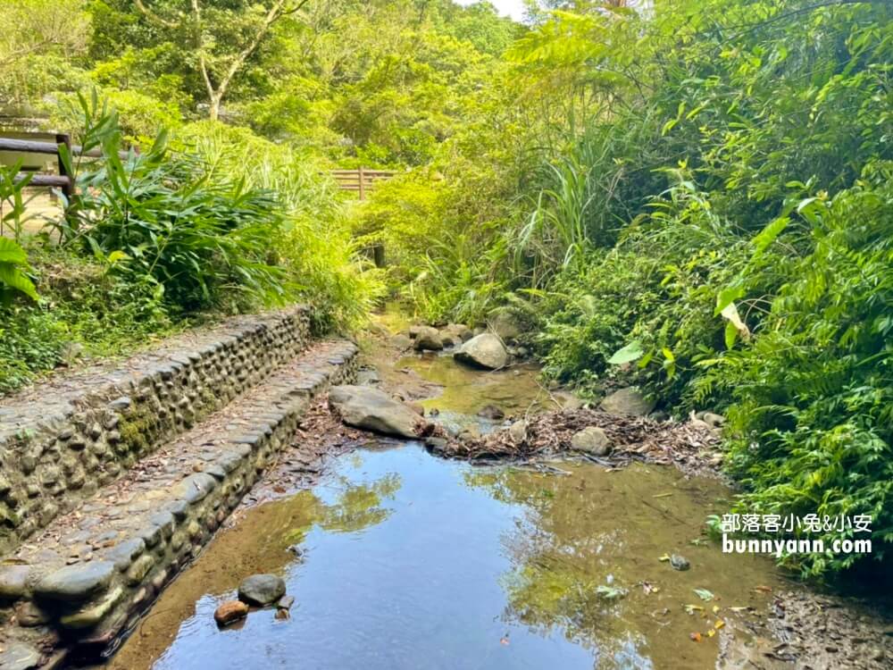 基隆七堵泰安瀑布，10分鐘賞山谷飛瀑，溪畔漫遊好愜意