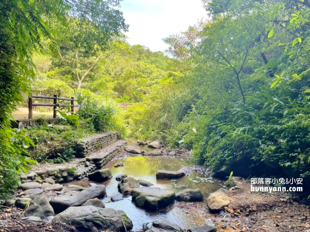 基隆七堵泰安瀑布，10分鐘賞山谷飛瀑，溪畔漫遊好愜意