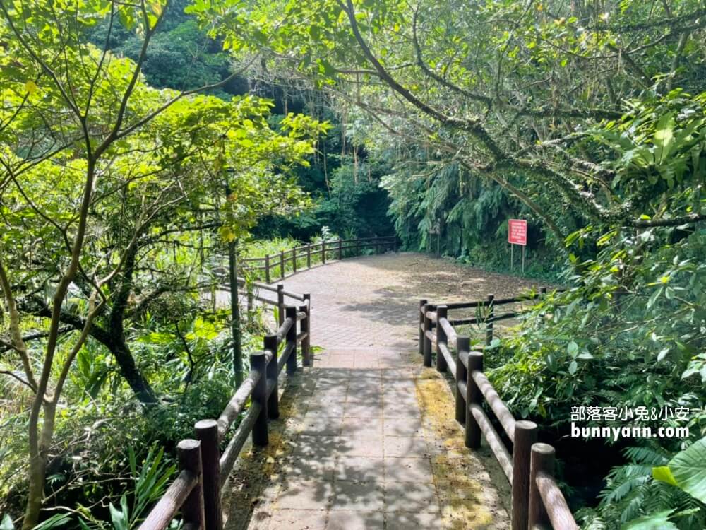 基隆七堵泰安瀑布，10分鐘賞山谷飛瀑，溪畔漫遊好愜意