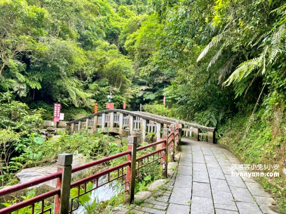 宜蘭礁溪抹茶山飄著雲霧的草原，適合季節、要爬多久一次打包。