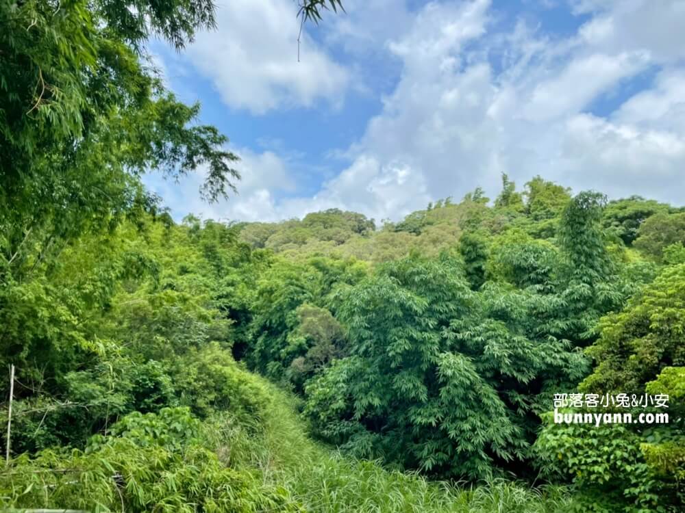 台中烏日知高圳步道，漫遊森林水圳步道，登山肉腳也能輕鬆走