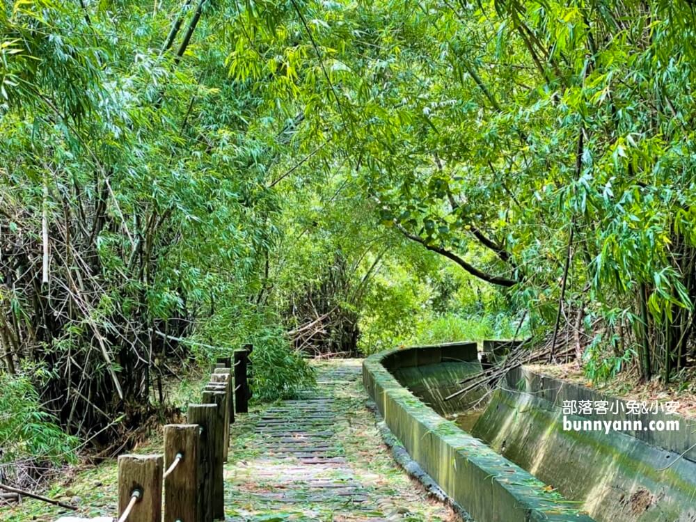 台中烏日知高圳步道，漫遊森林水圳步道，登山肉腳也能輕鬆走