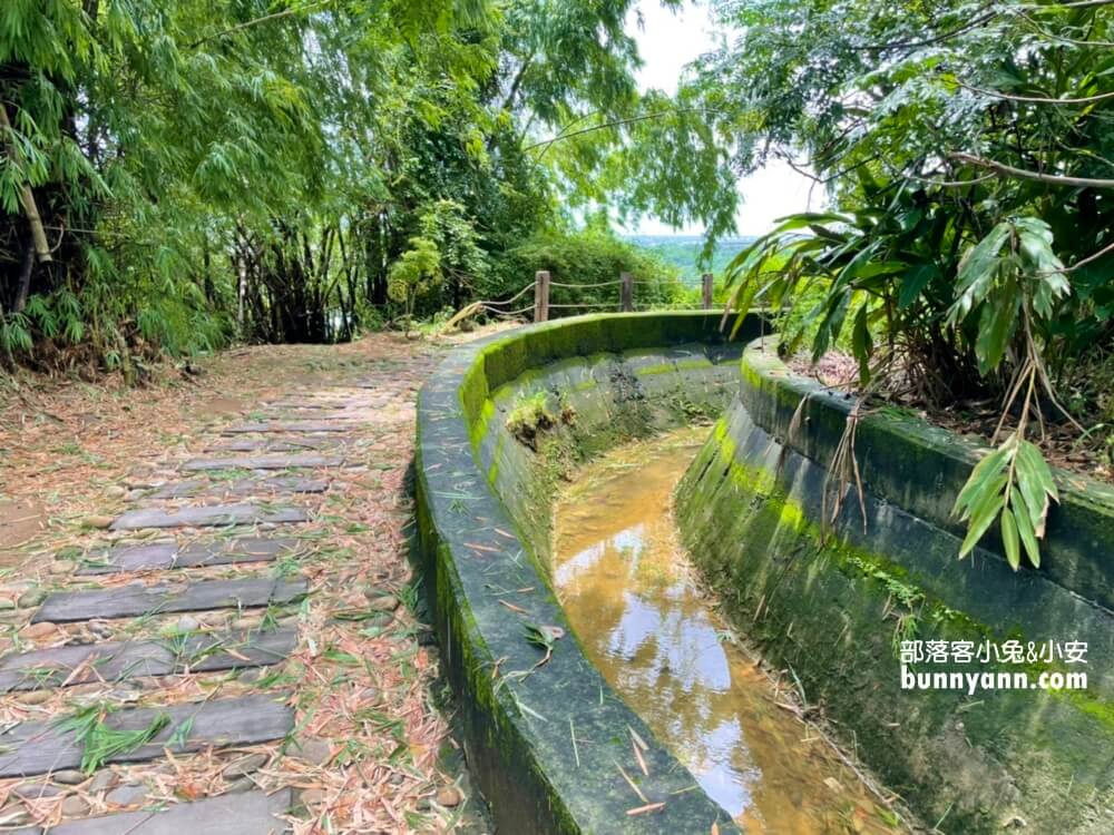 台中烏日知高圳步道，漫遊森林水圳步道，登山肉腳也能輕鬆走