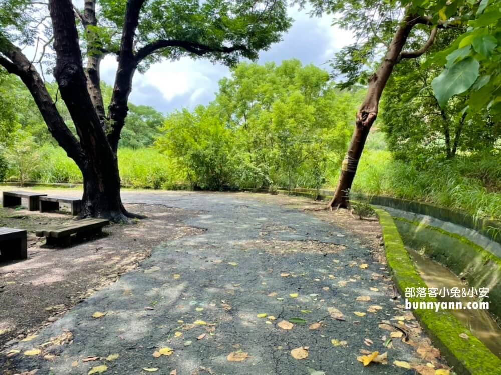 台中烏日知高圳步道，漫遊森林水圳步道，登山肉腳也能輕鬆走