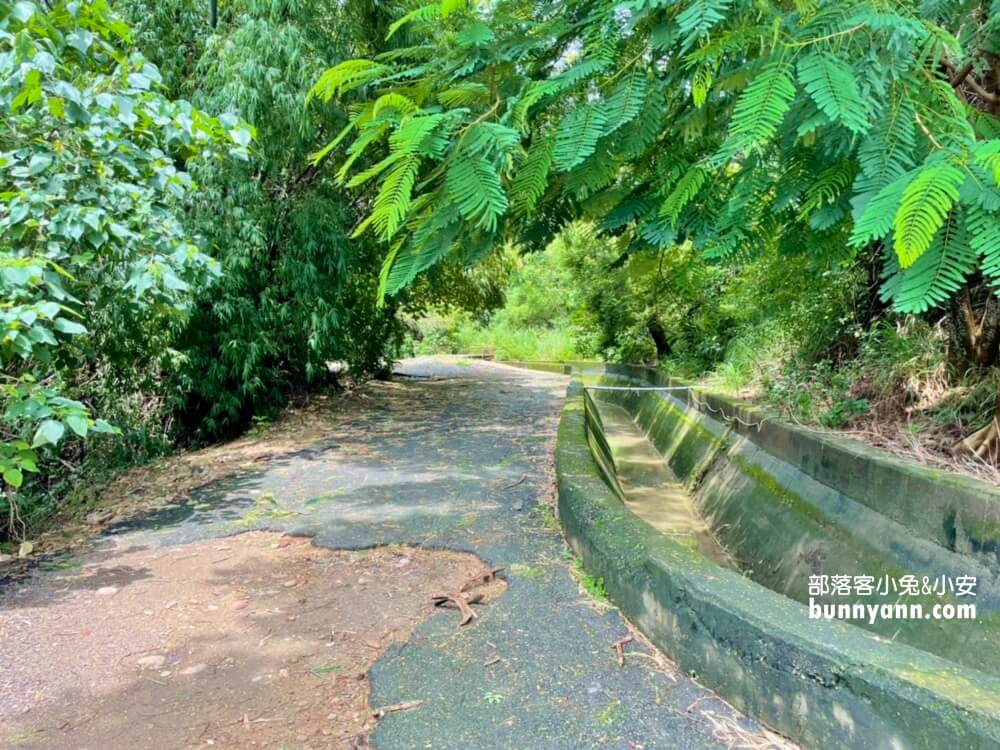 台中烏日知高圳步道，漫遊森林水圳步道，登山肉腳也能輕鬆走