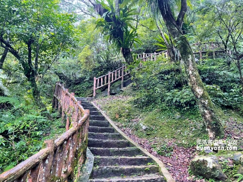 三峽戶外景點【滿月圓國家森林遊樂區】藏在高山上的親子健走步道