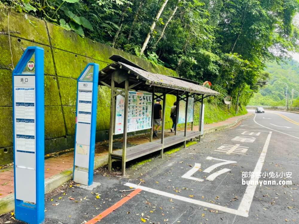 舊百吉隧道｜桃園大溪神隱少女山洞，漫步森林小徑遊慈湖