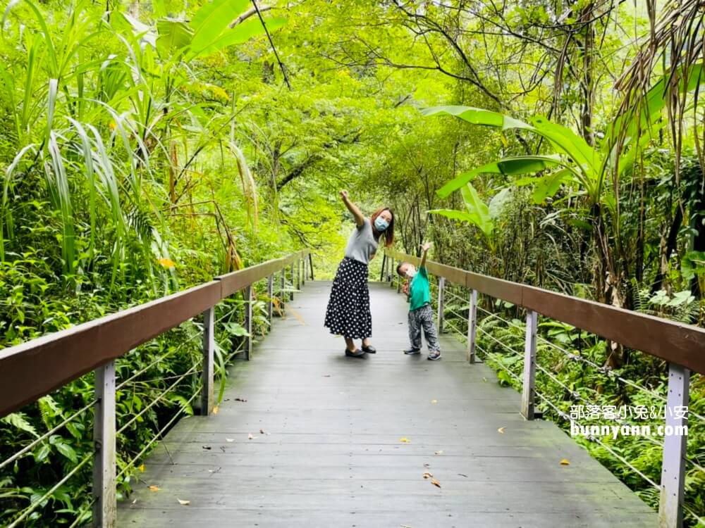 桃園》大溪秘境！舊百吉隧道，神隱少女山洞，漫步森林小徑遊慈湖