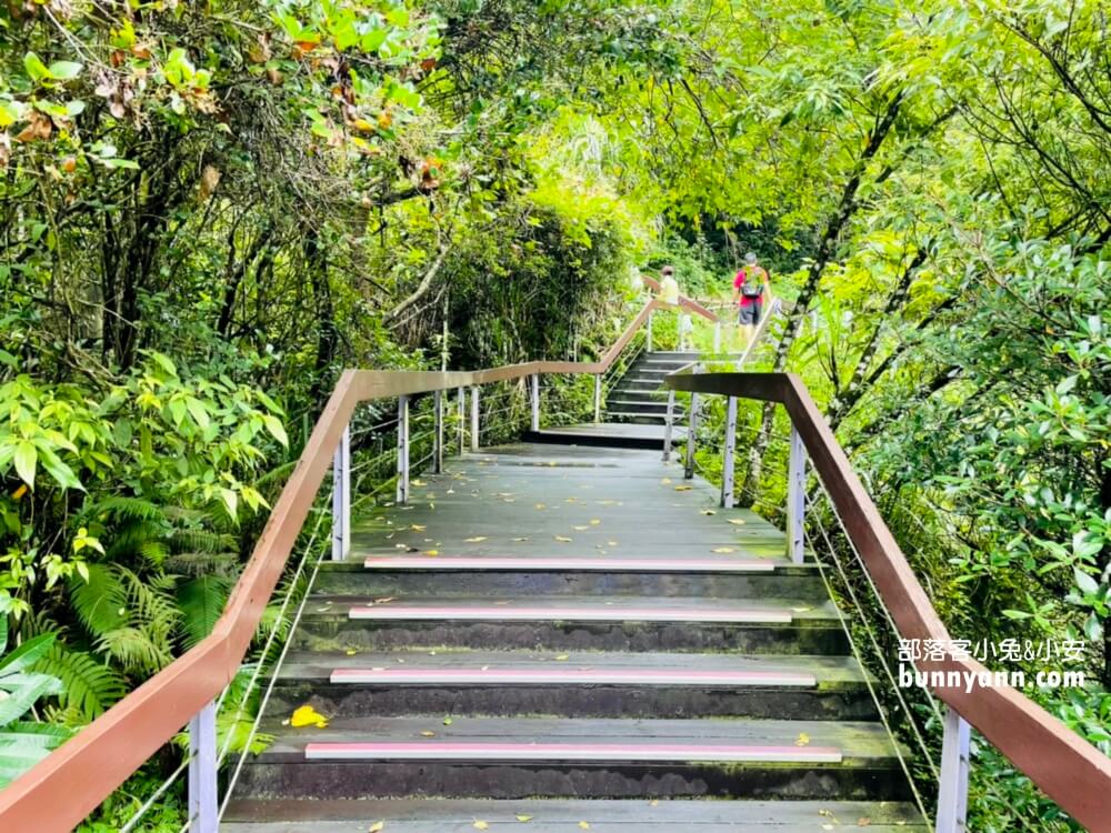 舊百吉隧道｜桃園大溪神隱少女山洞，漫步森林小徑遊慈湖