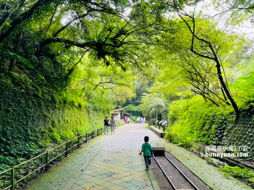 舊百吉隧道｜桃園大溪神隱少女山洞，漫步森林小徑遊慈湖