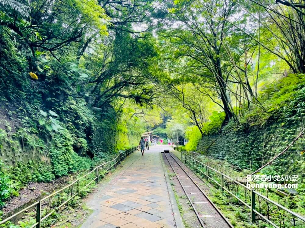 舊百吉隧道｜桃園大溪神隱少女山洞，漫步森林小徑遊慈湖