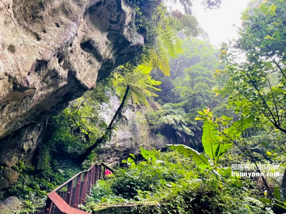 三民蝙蝠洞｜桃園秘境版山澗瀑布，復興森呼吸之旅!