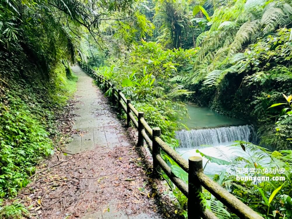 三民蝙蝠洞｜桃園秘境版山澗瀑布，復興森呼吸之旅!