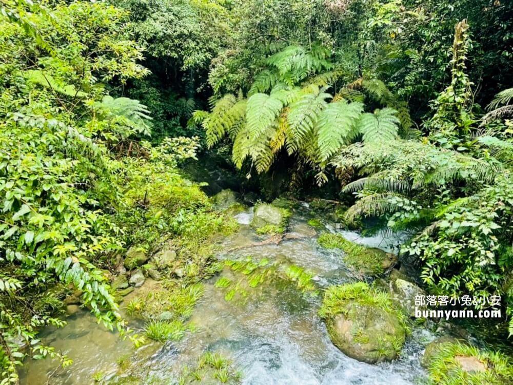 三民蝙蝠洞｜桃園秘境版山澗瀑布，復興森呼吸之旅!