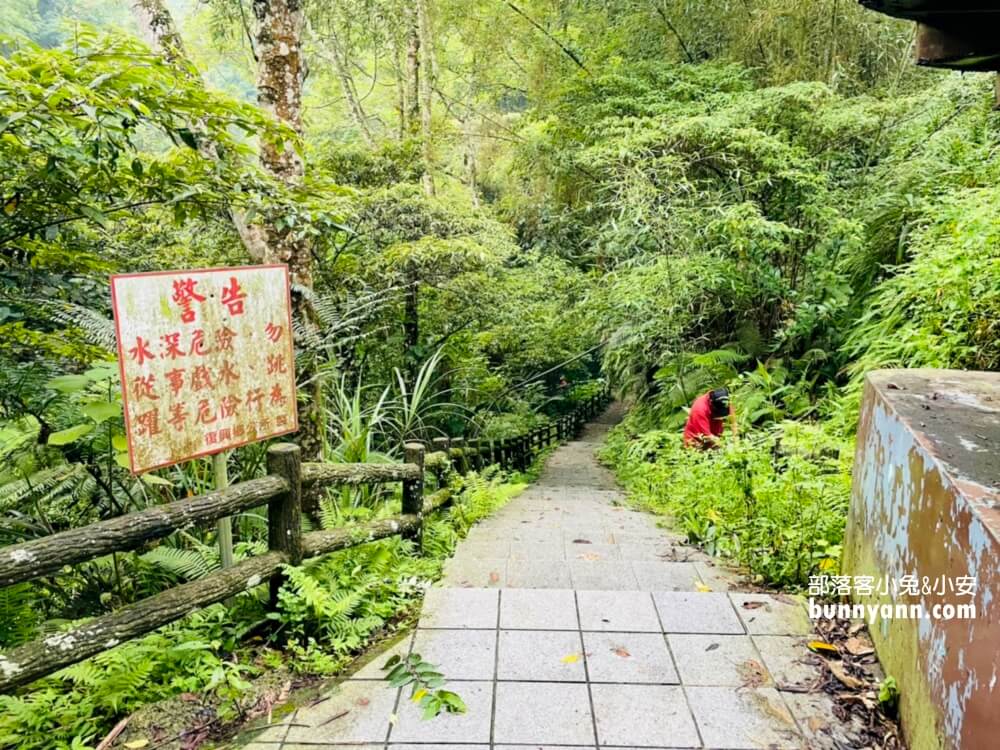 三民蝙蝠洞｜桃園秘境版山澗瀑布，復興森呼吸之旅!