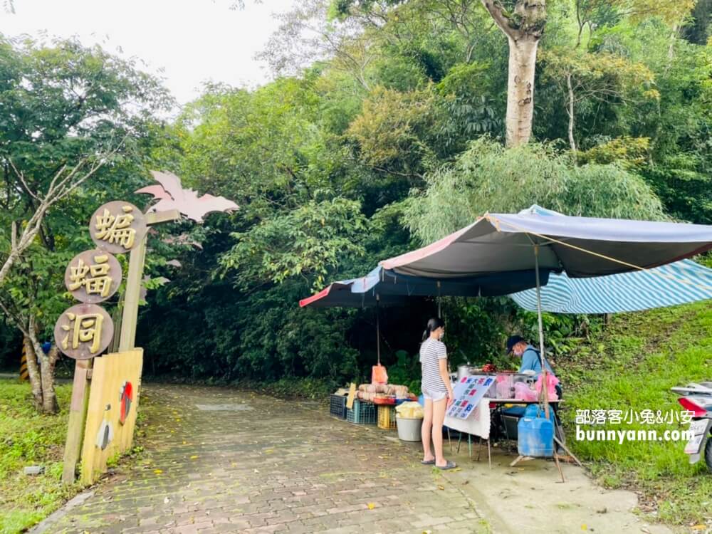 三民蝙蝠洞｜桃園秘境版山澗瀑布，復興森呼吸之旅!