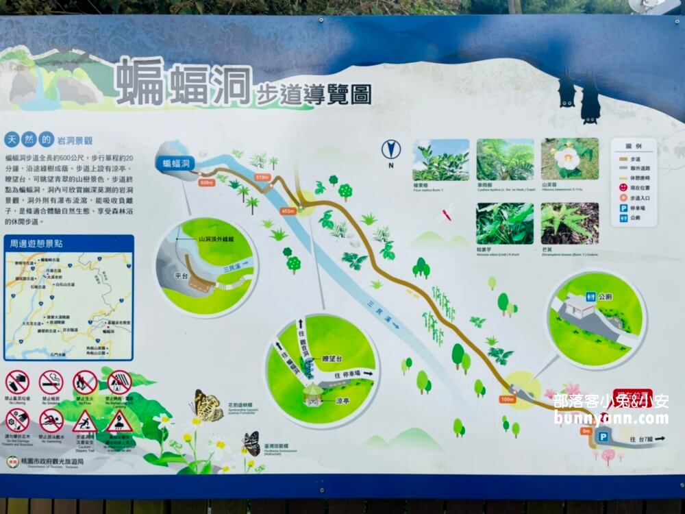 三民蝙蝠洞｜桃園秘境版山澗瀑布，復興森呼吸之旅!