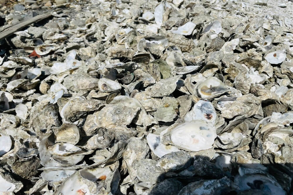 嘉義秘境白水湖壽島，海景第一排馬桶，美拍消失的島嶼和海潮馬路