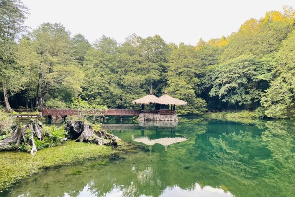 【嘉義】阿里山兩天一夜，推薦阿里山景點二日遊攻略，教你搭小火車一路玩到神木