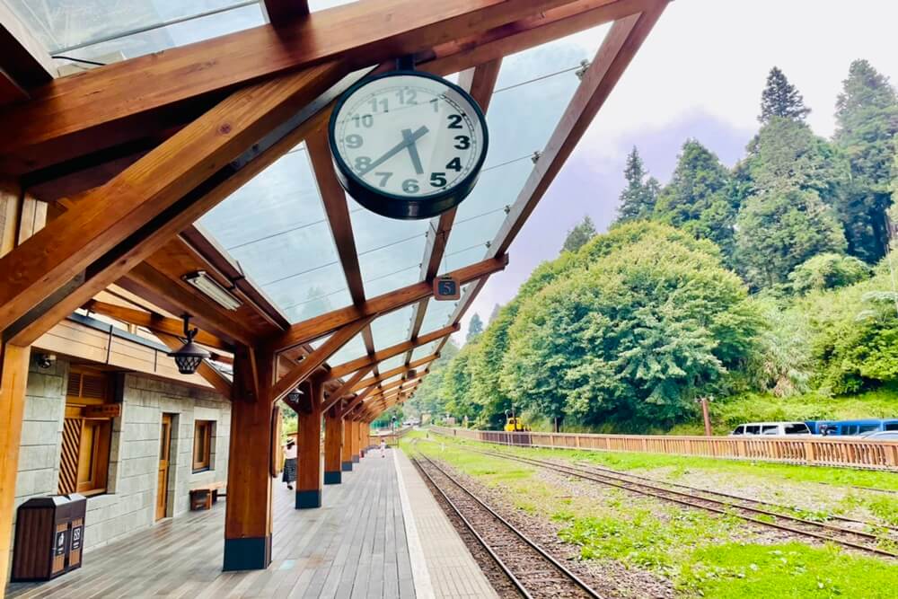 【嘉義】阿里山兩天一夜，推薦阿里山景點二日遊攻略，教你搭小火車一路玩到神木