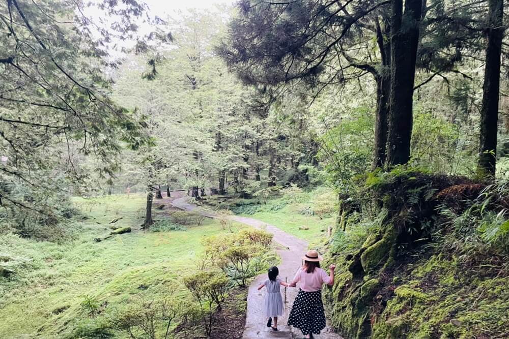 【嘉義】阿里山兩天一夜，推薦阿里山景點二日遊攻略，教你搭小火車一路玩到神木