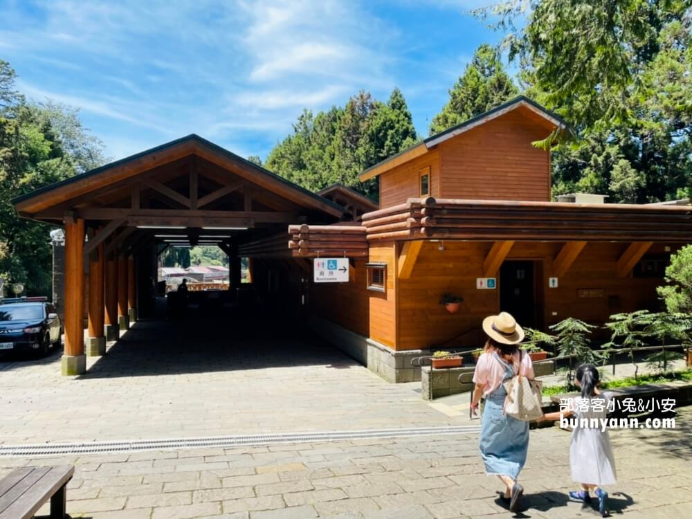 嘉義「阿里山國家森林遊樂區」暢遊山上公園，門票、交通、玩多久全打包。