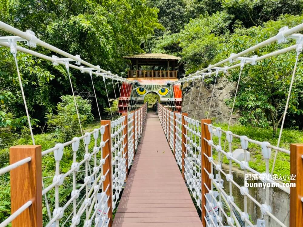 阿里山景點｜達娜伊谷吊橋