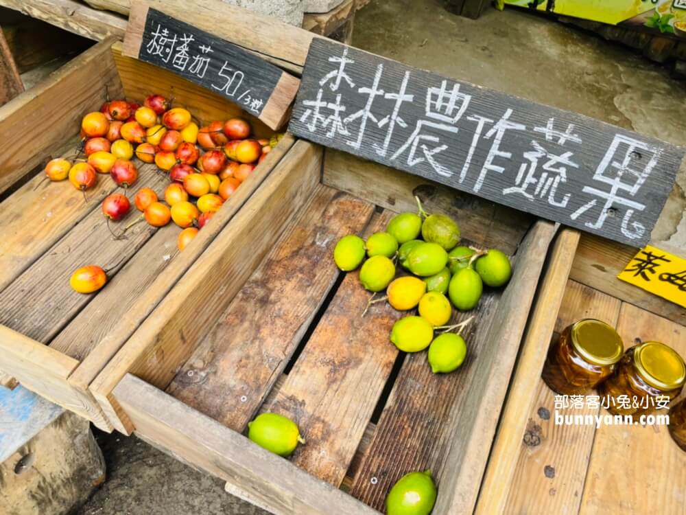 達娜伊谷自然生態公園