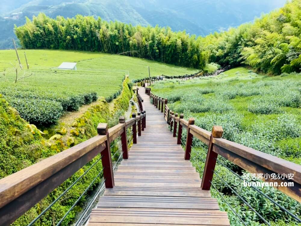 石棹步道群霞之道，15分鐘輕鬆漫步茶田，眺望雲霧飄渺山嵐