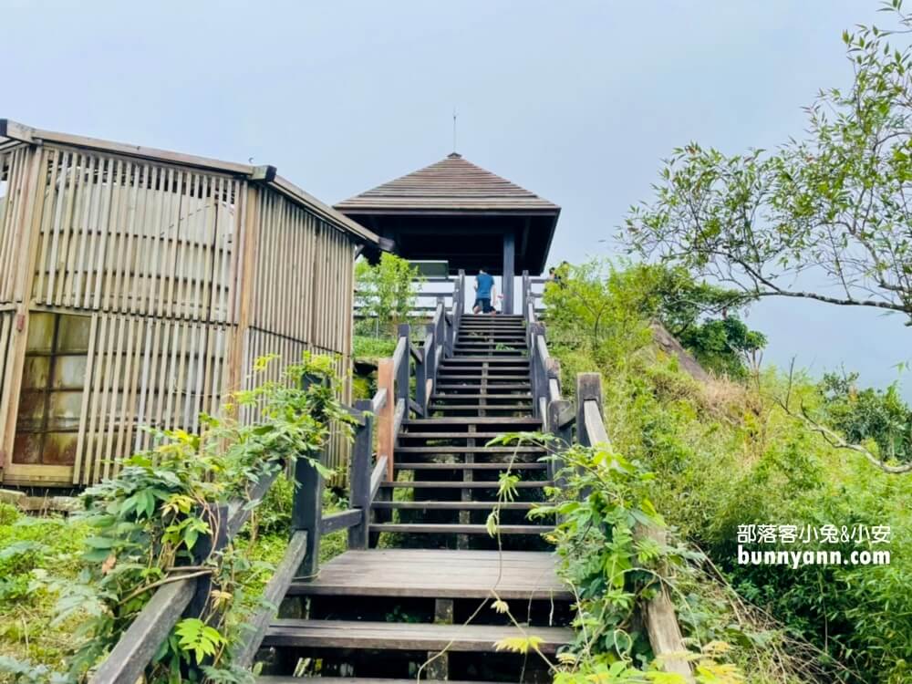 阿里山景點｜二延平山步道