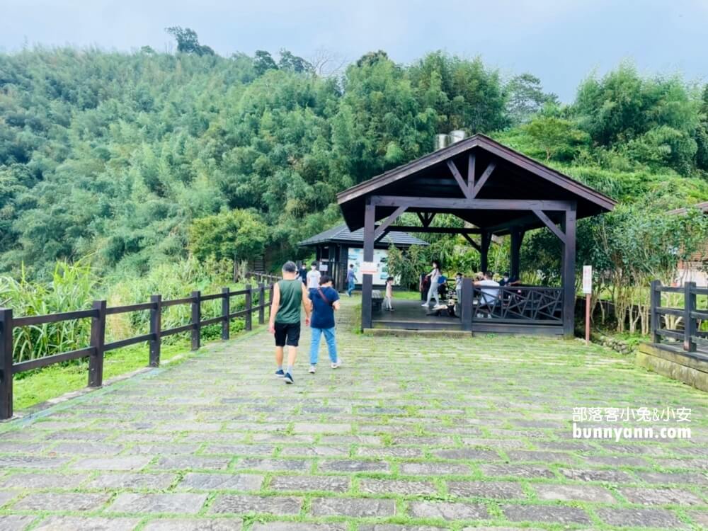 嘉義【二延平步道】阿里山來回兩小時茶園步道詳細解說