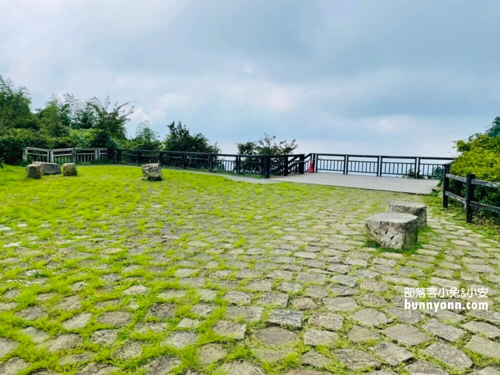 嘉義【二延平步道】阿里山來回兩小時茶園步道詳細解說