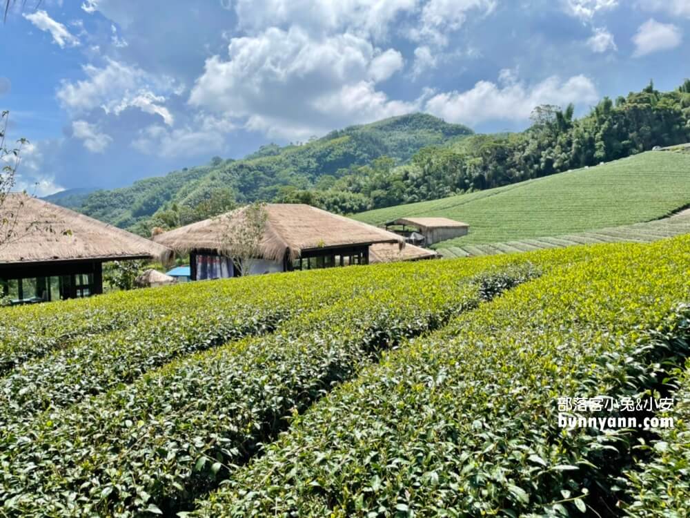 全台十間「景觀茶園」與「觀光茶廠」推薦，尋找茶金歲月風華